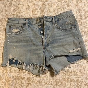 Agolde Parker Vintage Cutoffs